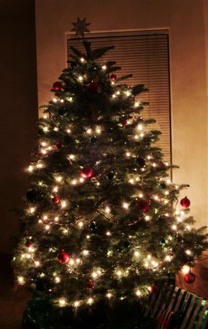 christmas tree